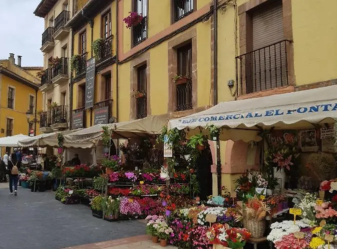 Appartement Arco 4 Fontan Loft Oviede